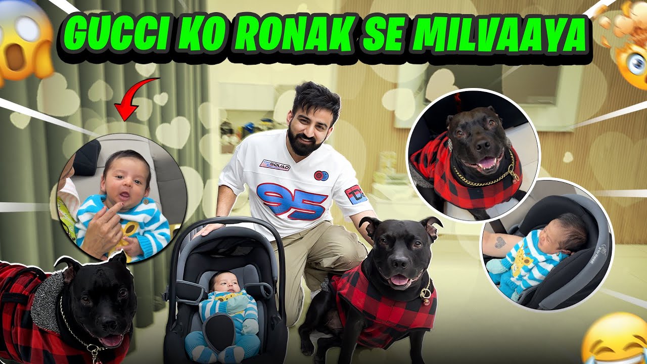 BABY KO PITBULL DOG SE MILVAAYA 🐶😱 || SWATI DARR GAYI 😅 || RajatSwatiVlogs  