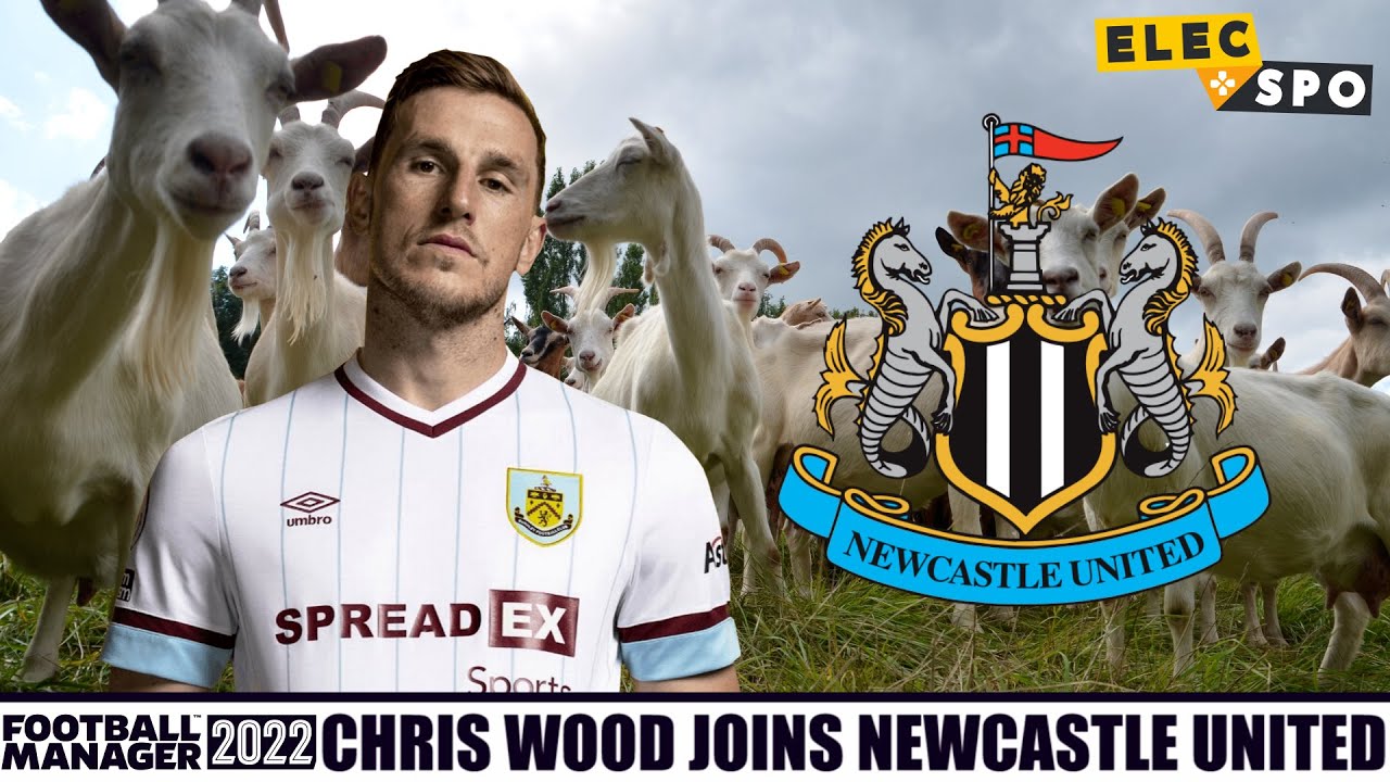 'The GOAT' Chris Wood Joins Newcastle | Football Manager 2022 Experiment