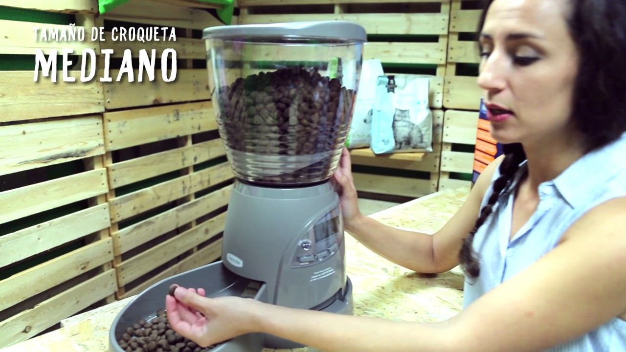 Comedero automático para perros y gatos de Petmate - Tiendanimal