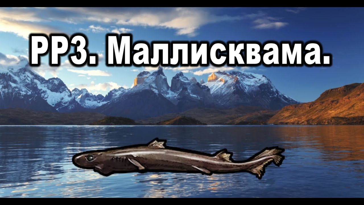 РР3. (Russian Fishing). Маллисквама. Королевская коллекция.