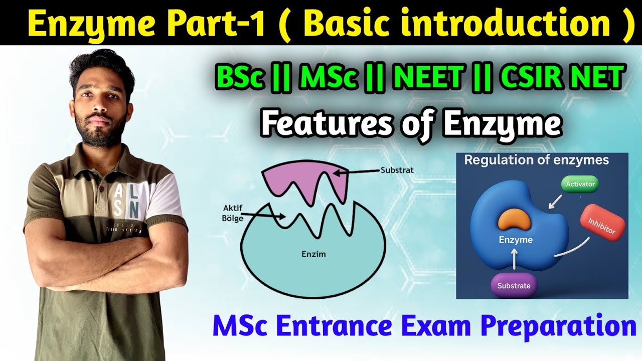 What is Enzyme || Basic introduction || Enzyme Part-1 || BSc || MSc || CSIR NET || Entrance || PGT