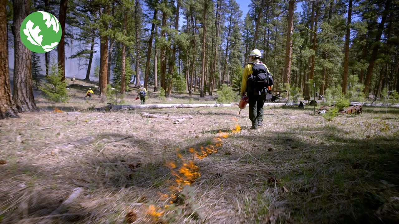Reserved Treaty Rights Lands Program: The Power of Partnership