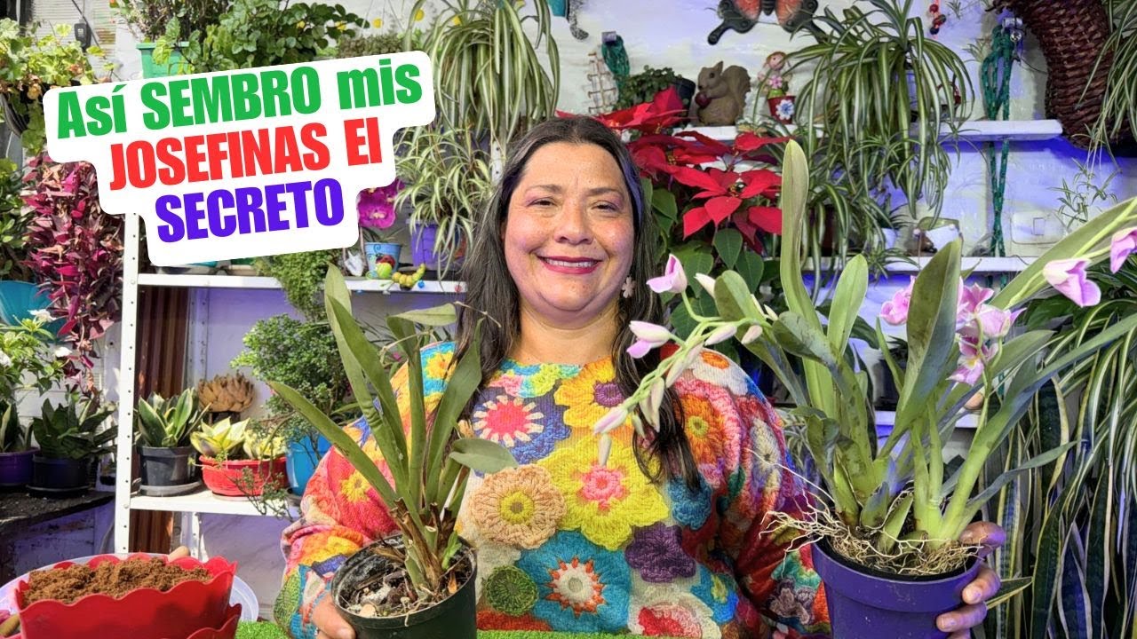 El TRUCO DEFINITIVO para SEMBRAR JOSEFINAS con DECENAS de VARAS FLORALES