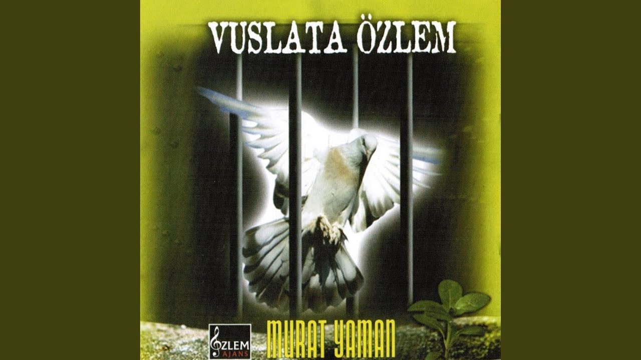 Rehberin Matemi