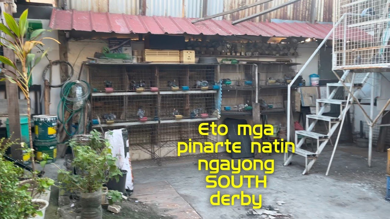 Eto mga pinarte natin ngayong SOUTH derby😍
