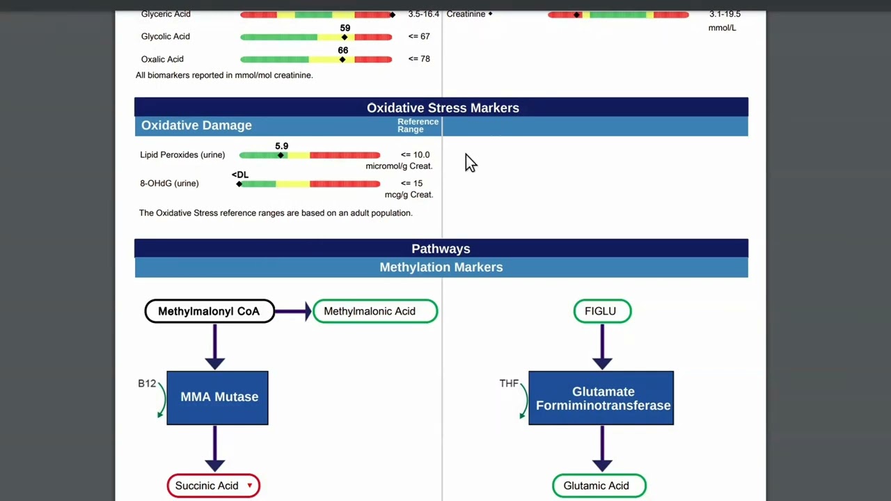 Comprehensive Metabolic Check with Metabolomics Testing