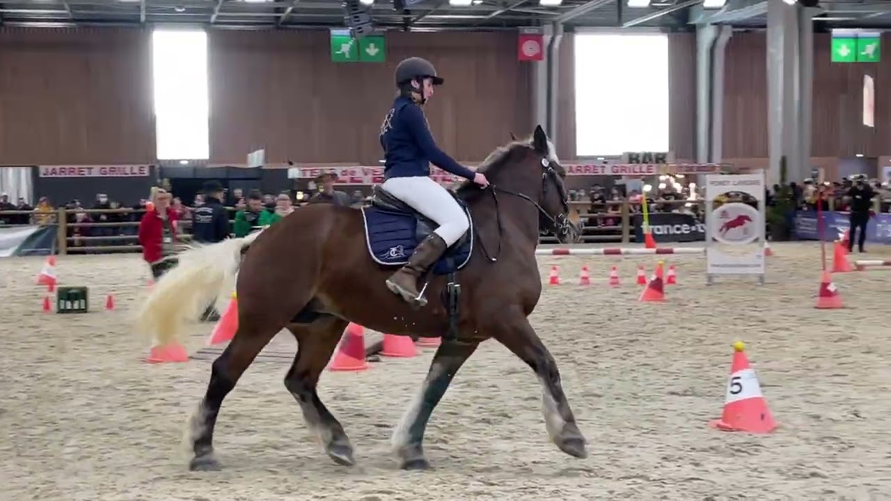 salon de l'agriculture : trophée monté, le comtois Calluna et sa jument Héclypse