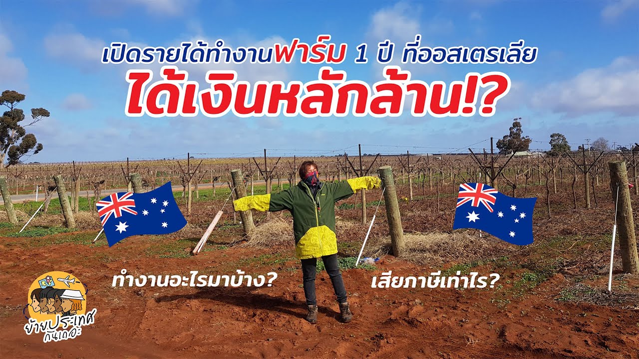 ย้ายประเทศกันเถอะ EP.4 l เปิดรายได้ทำงานฟาร์มที่ออสเตรเลีย 1 ปี ทำอะไรมาบ้าง รายได้เป็นล้านจริงหรือ?