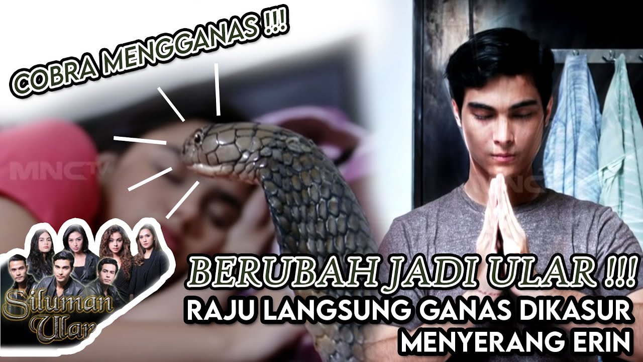 MENGGANAS !!!! Cobra Menyerang Erin Saat Tidur | SILUMAN ULAR
