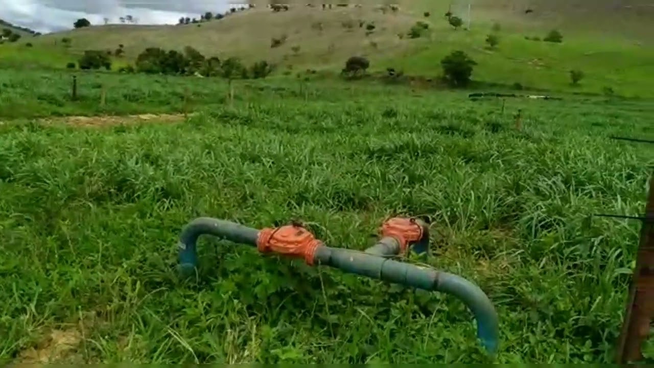 A evolução da pastagem no manejo intensivo, não perca!