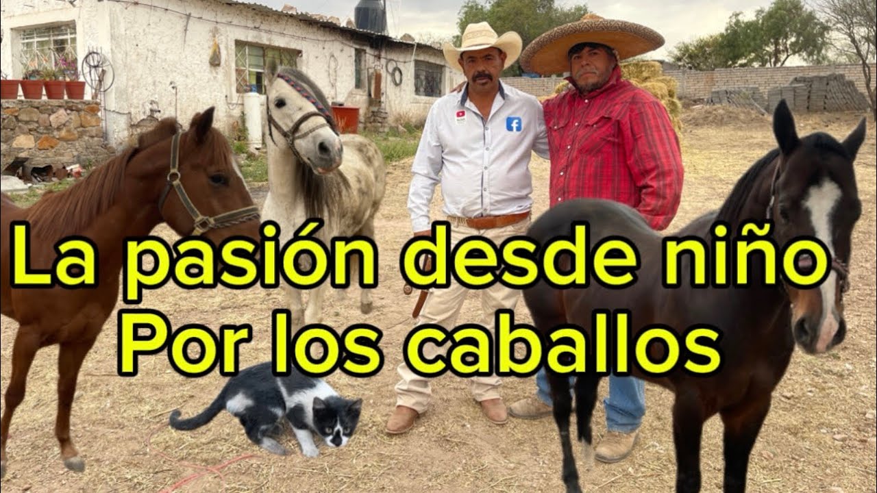 No creerás la pasión q este señor tiene por sus caballos 