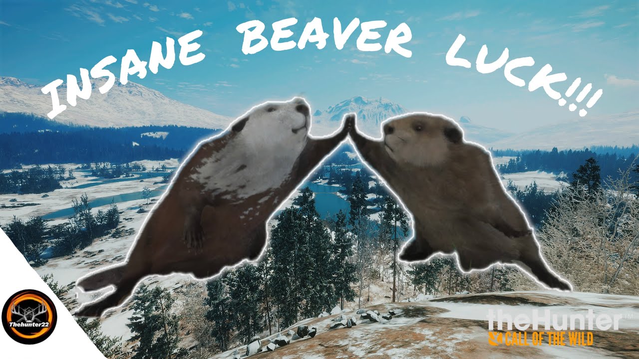 Completing the *CUTEST* multi mount in thehunter: Call of the Wild!