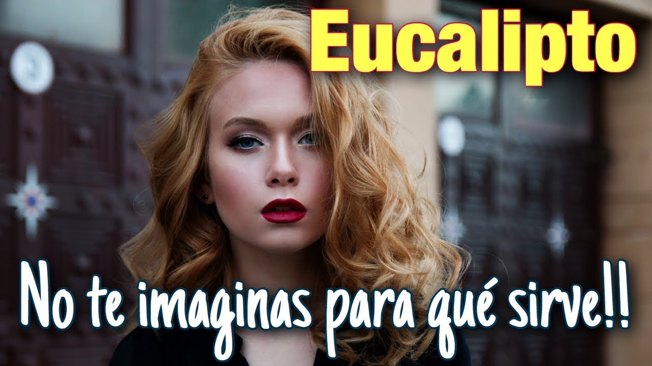 ⭐️ EUCALIPTO 🌳 NO PUEDES IMAGINAR PARA QUE SIRVE!! 😱