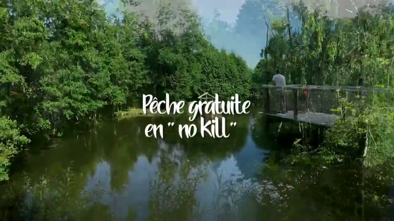 Camping au Mica - Yes I Camp - Au cœur des Vosges!