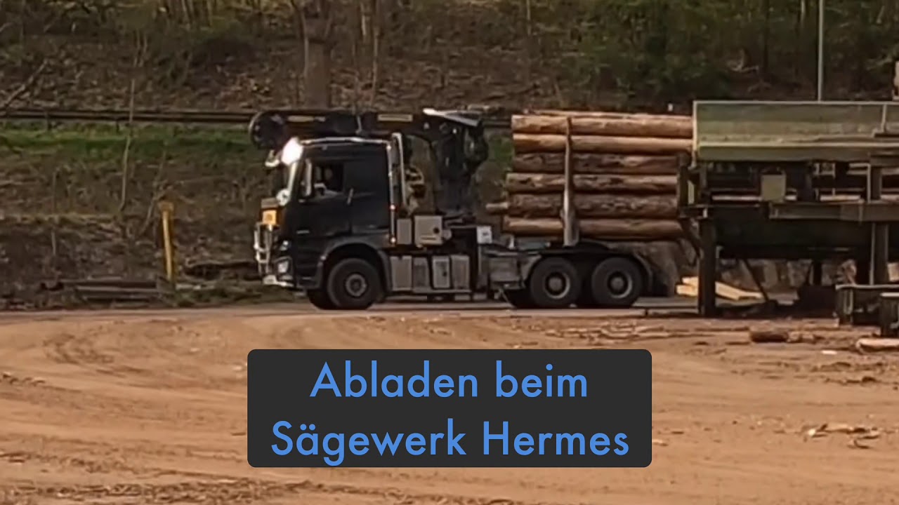 Langholz abladen beim S&auml;gewerk Hermes