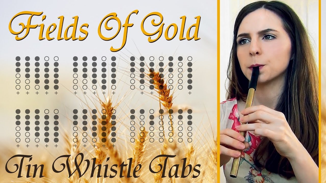 Sting - Fields Of Gold | Tin Whistle Tabs Tutorial