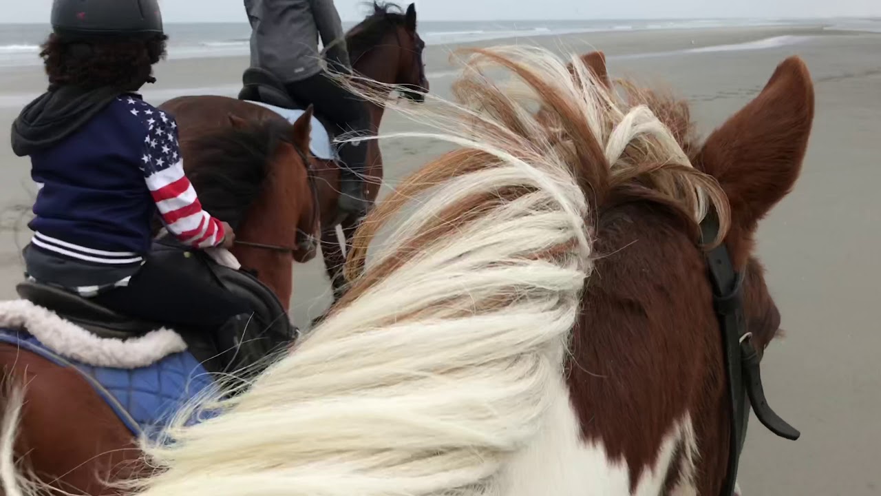 Strandrit Ameland rijstal Le Cheval