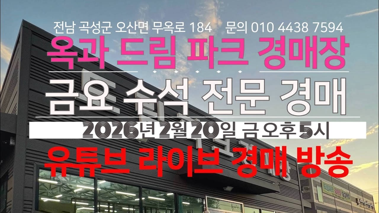 옥과 드림파크 경매장/2026년 2월 20일 금 오후 5시  /금요 수석 전문 경매 /문의 010 4438 7594/