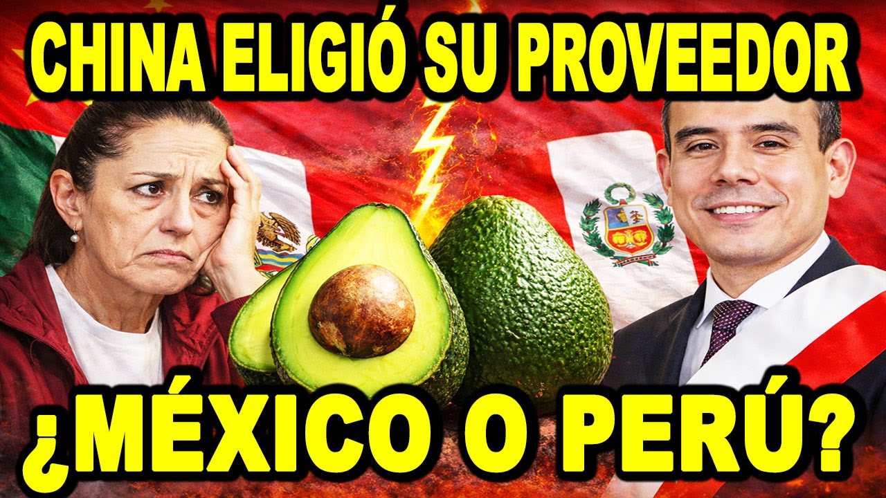 ¿ESTÁ MÉXICO PERDIENDO LA GUERRA DE LA PALTA FRENTE A PERÚ? CHINA YA ELIGIÓ