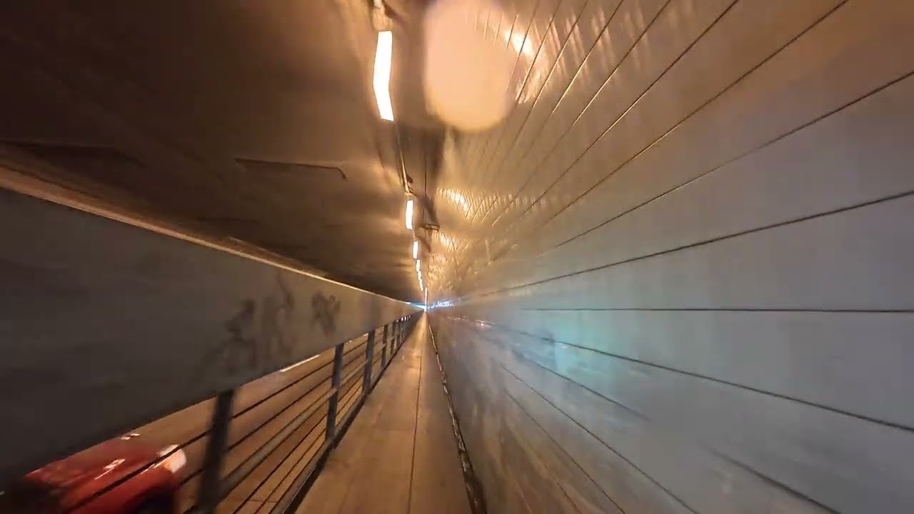 The Harrowing Posey Tube 2026-02-19
