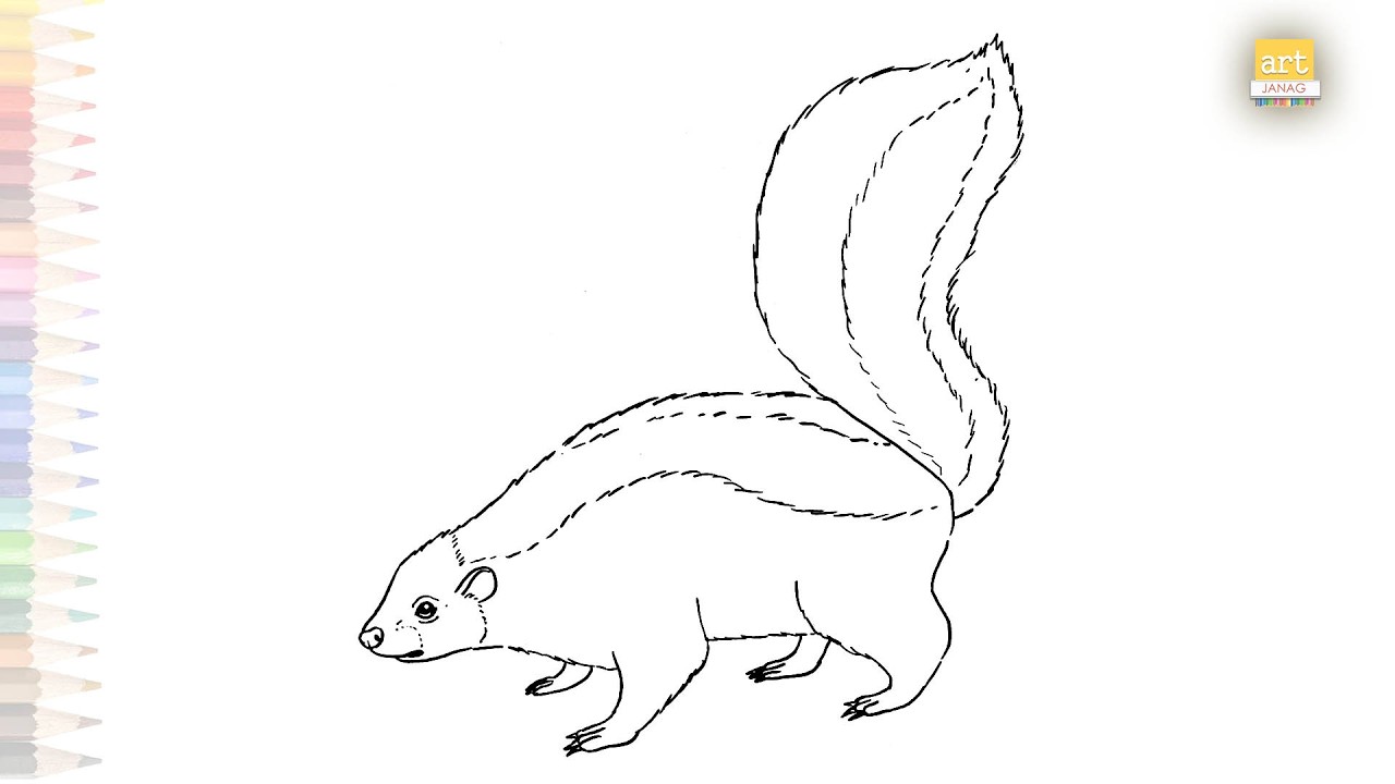 Skunk drawings | Wild animal drawing tutorial | How to draw A Skunk step by step | #artjanag