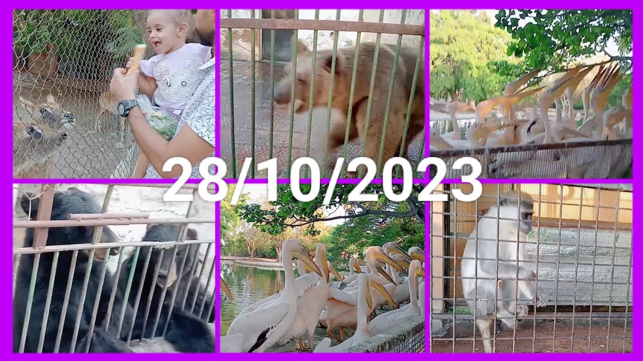 روحنا النزهه⁉️ وبنتي أكلت اكل الغزاله ‼️وضحكلنا الدب فارس 🐻