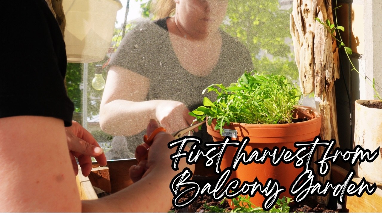 Eating in the garden and enjoying Finnish summer