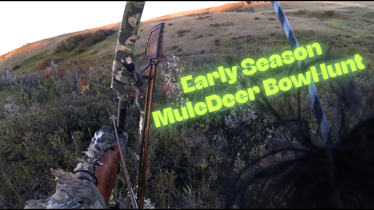 Bowhunting Muledeer in early season with Recurve 2025