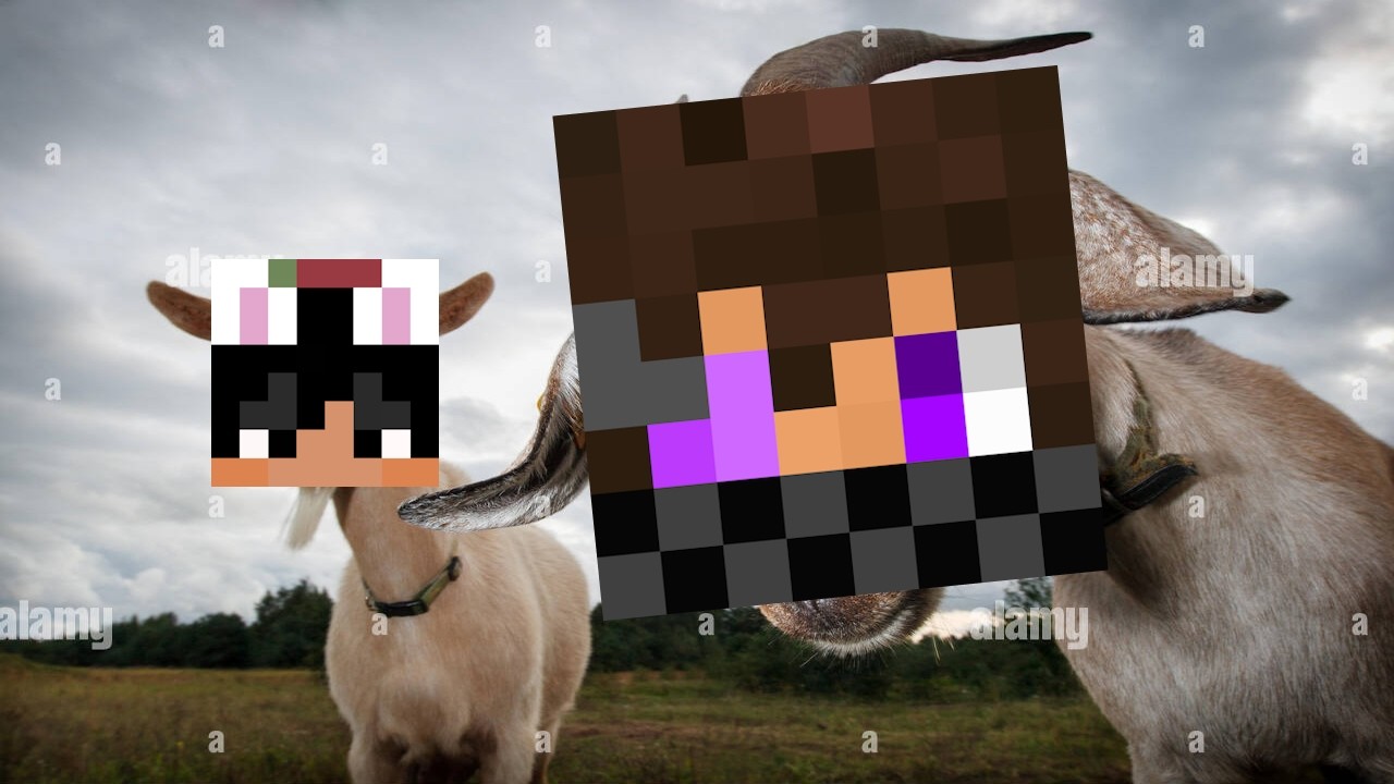 skrubbed x AlexProbably DUOTAGE!!!!