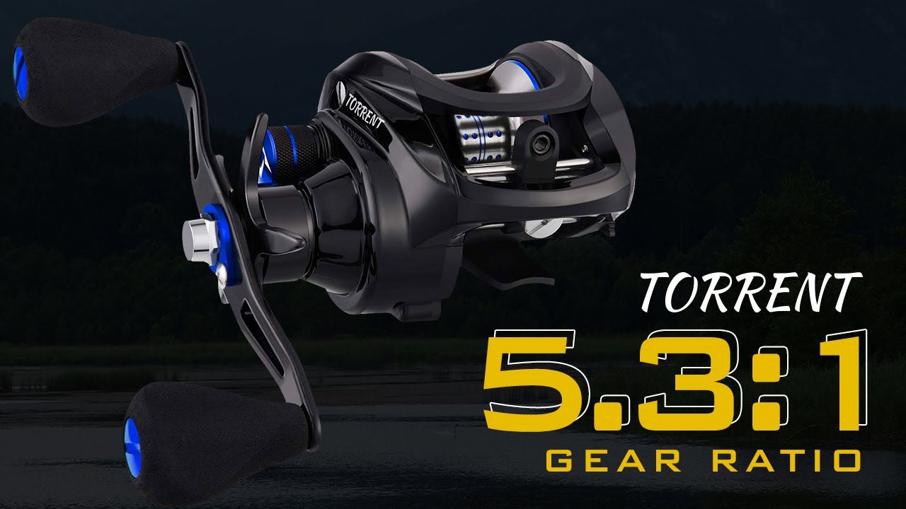 Piscifun Torrent 5.3:1, the WORKHORSE | Baitcasting Reel