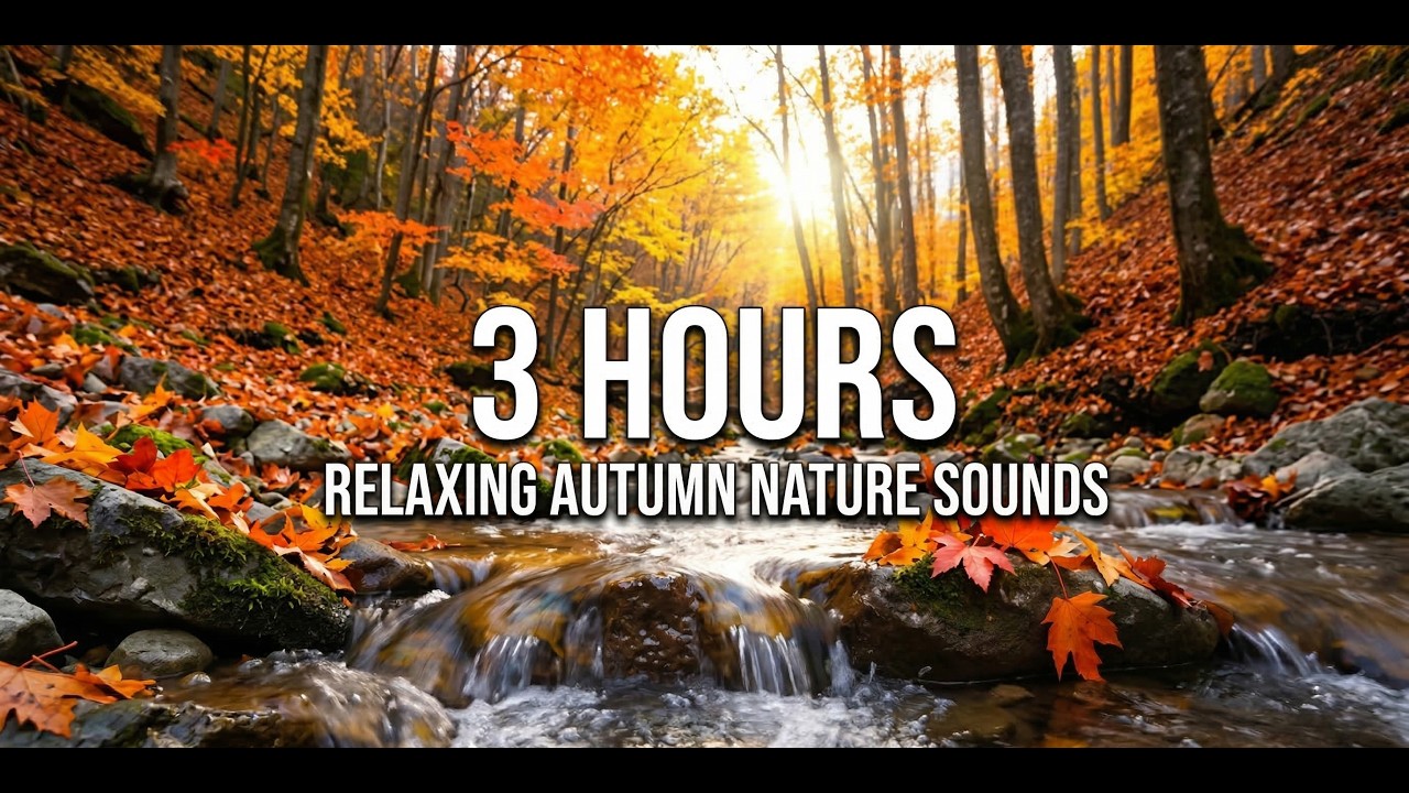 Relaxing River in Autumn Forest (3 Hours) - صوت النهر الجاري في غابة الخريف للدراسة والتركيز
