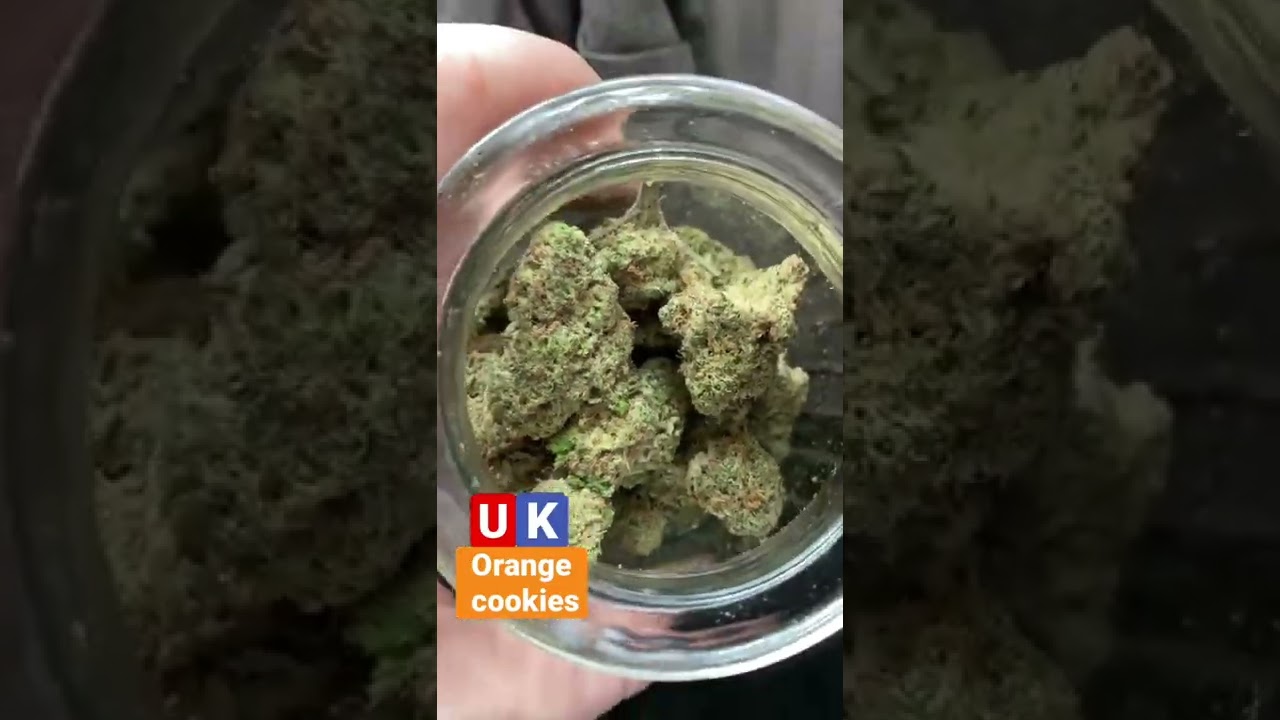 Uk orange cookies | Balaclavabuds