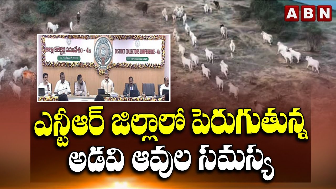 ఎన్టీఆర్ జిల్లాలో పెరుగుతున్న అడవి ఆవుల సమస్య || NTR District || Viral Video || ABN