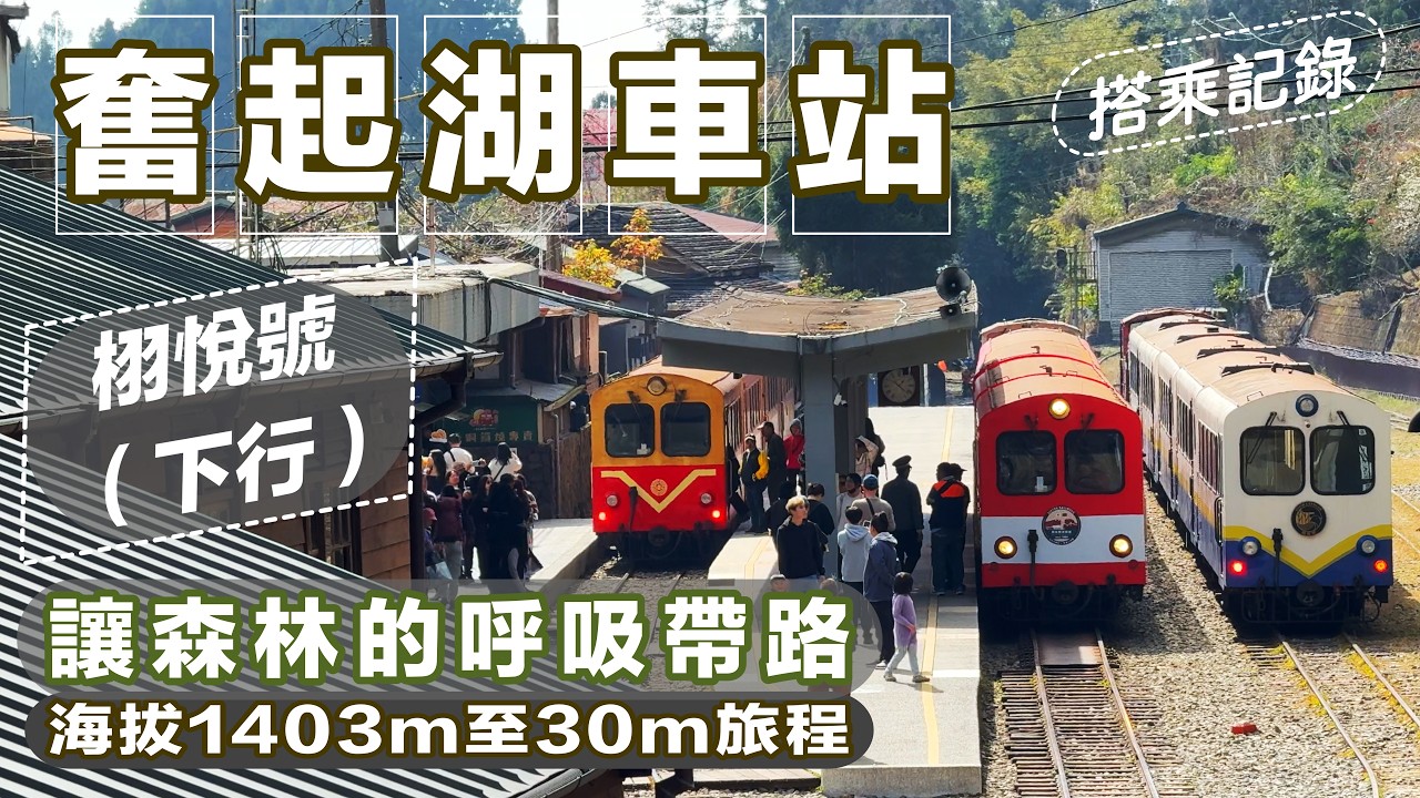 從杉林步道到森林小火車｜奮起湖美食散策後搭栩悅號回嘉義