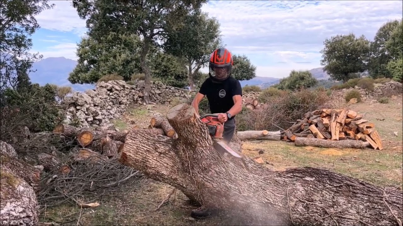 È campà quì in u Ghjunsani 2/5 : Jean-René Castellani, exploitant forestier et éleveur à Vallica