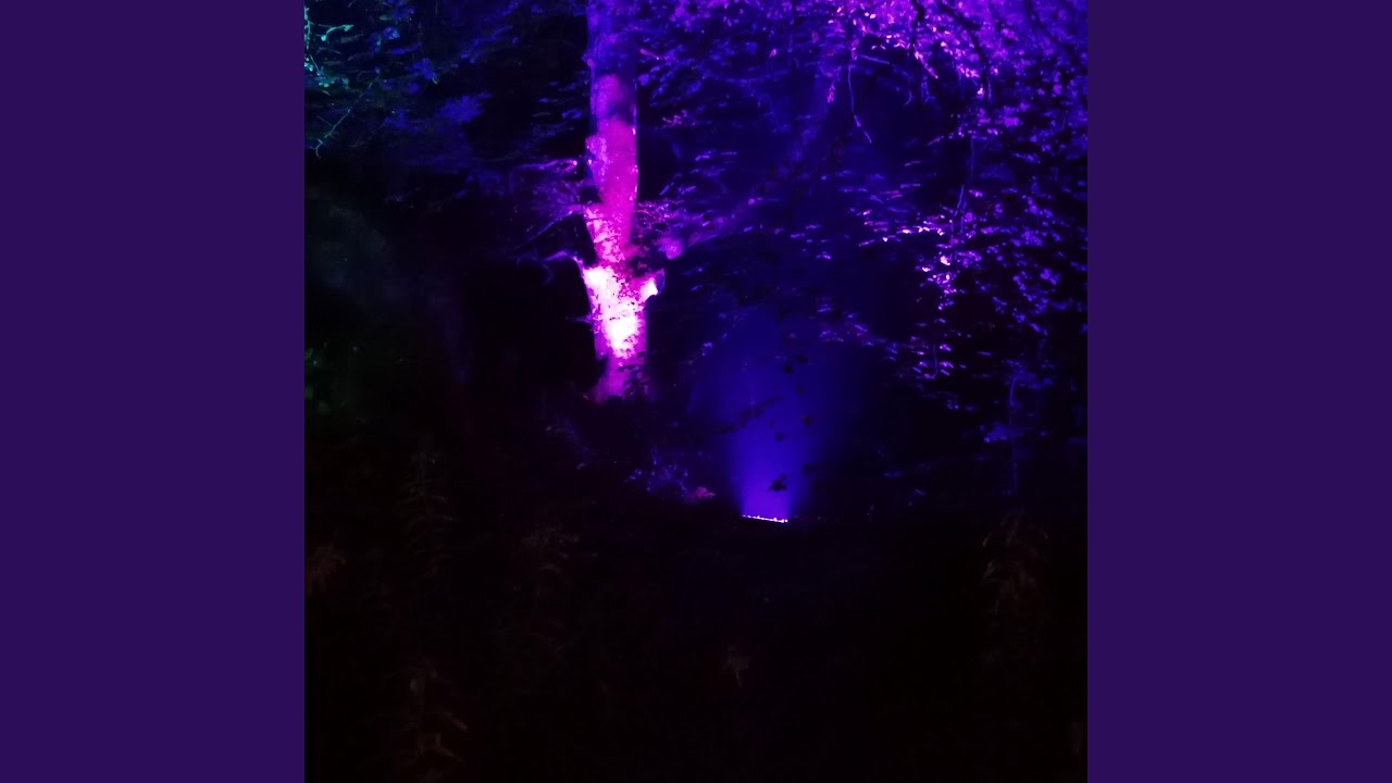 Fjordream