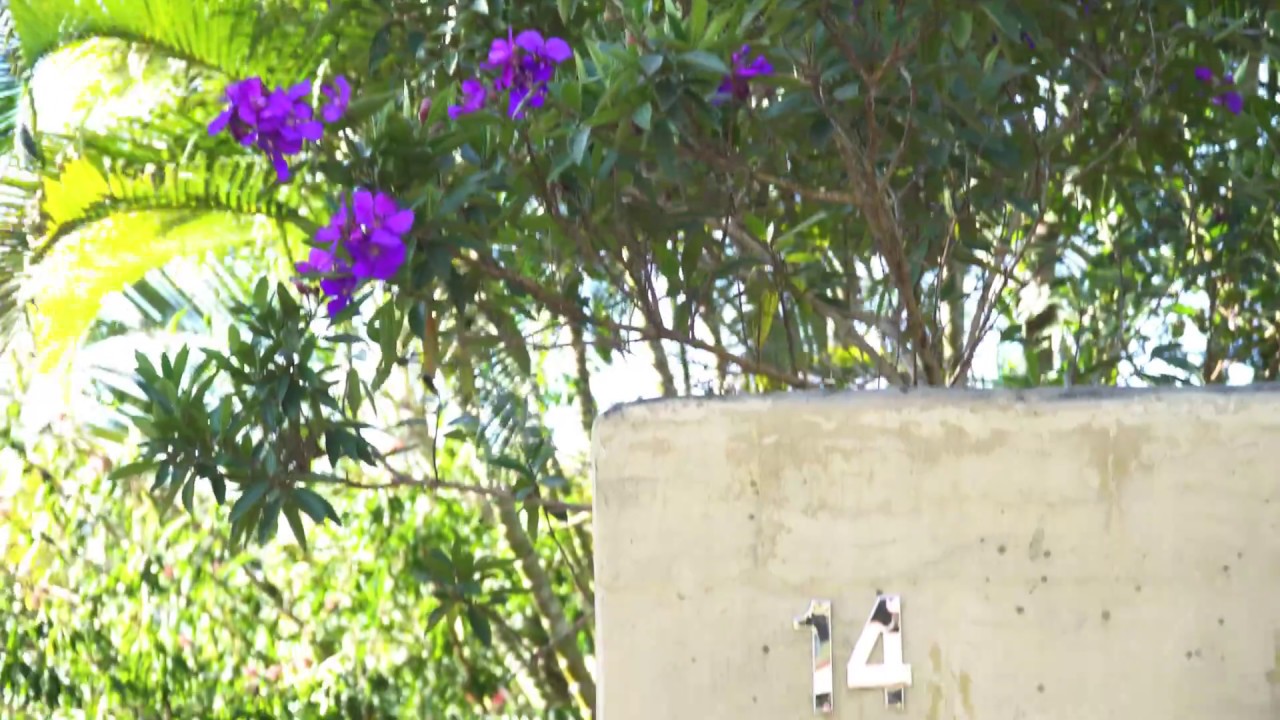 14 Wright Place, Byron Bay