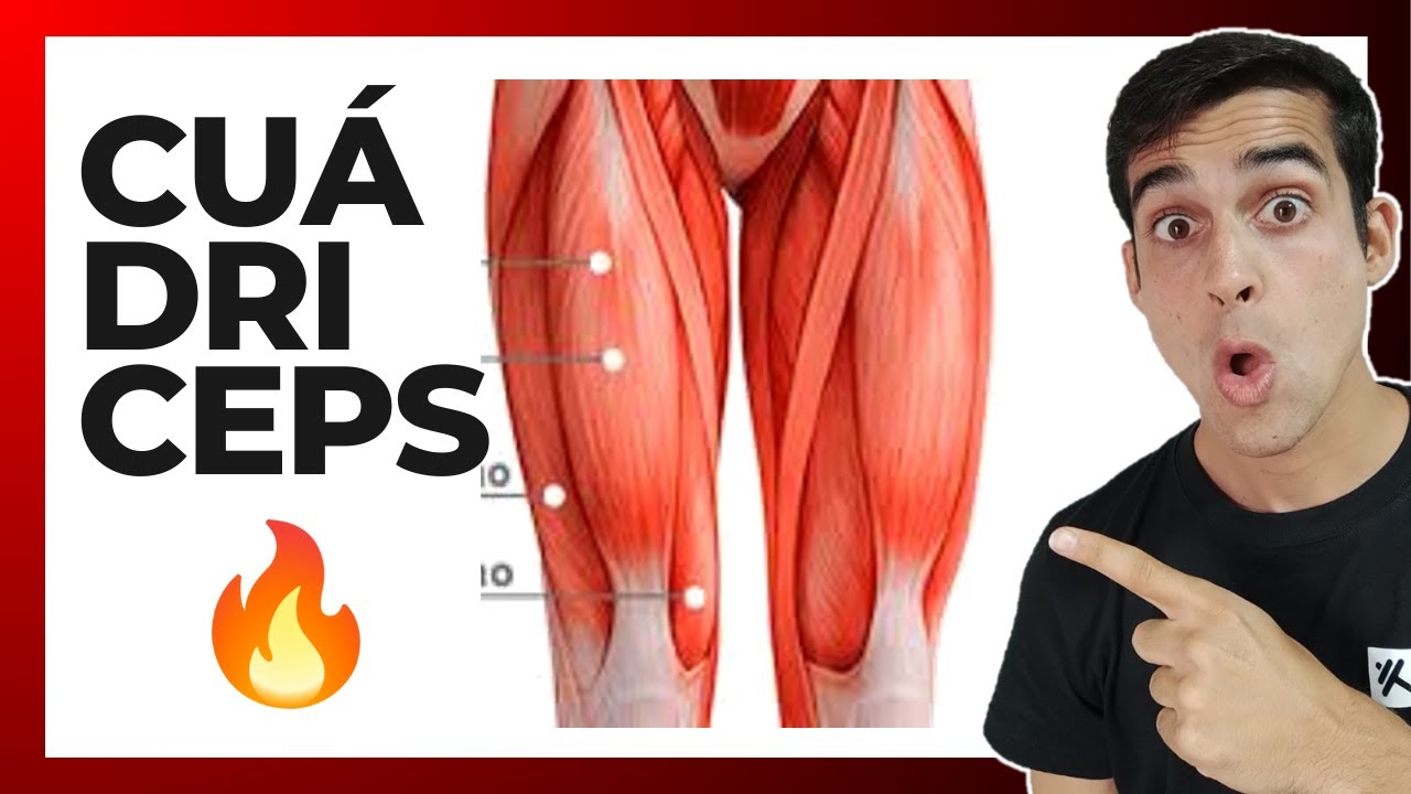 💥El Músculo Más Poderoso de Tus Piernas: ¡Conocé el Cuádriceps! (anatomia)