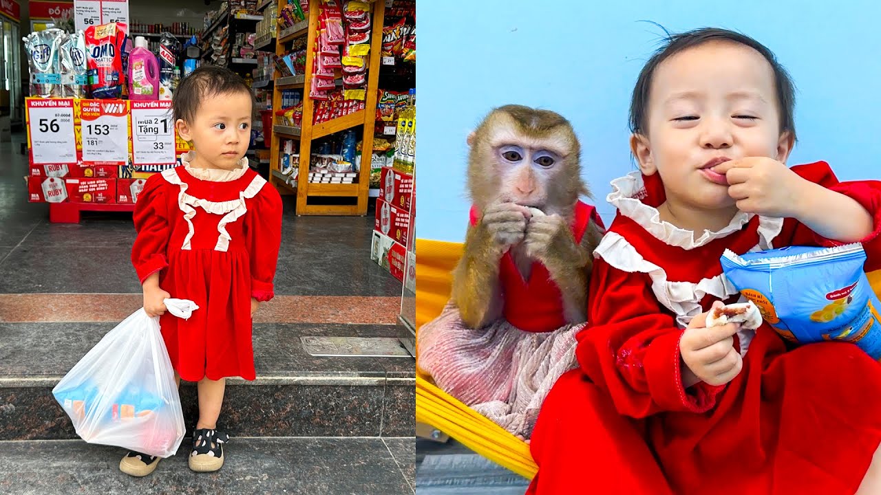 Diem went alone to the supermarket to buy food for Monkey Kaka and mom