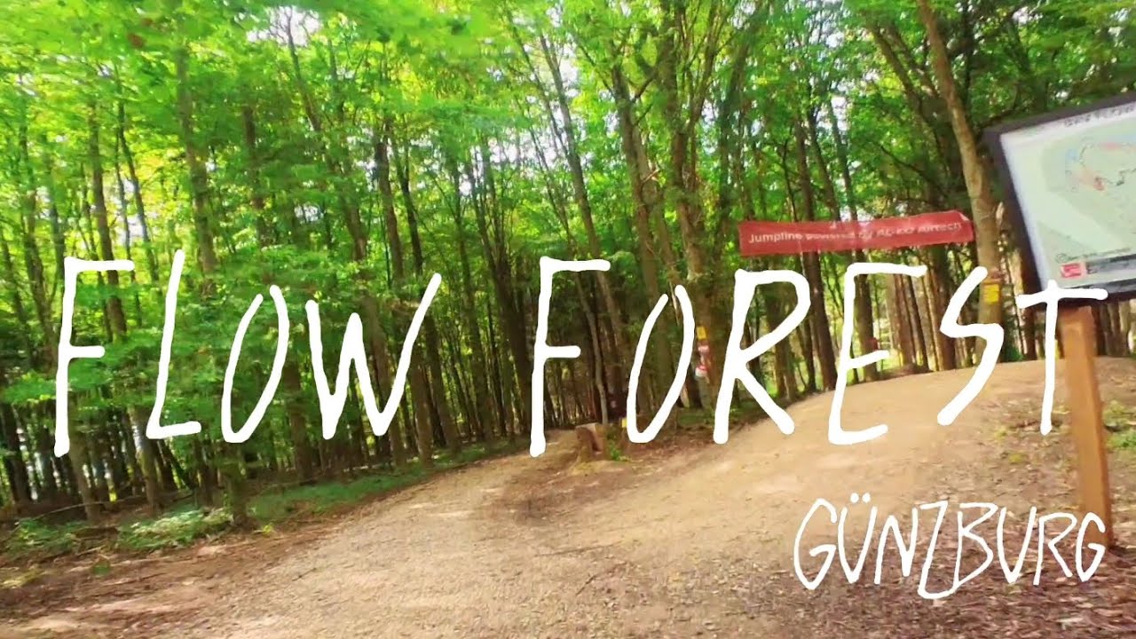 Flow Forest in Günzburg - Wiedereröffnung nach langem Warten