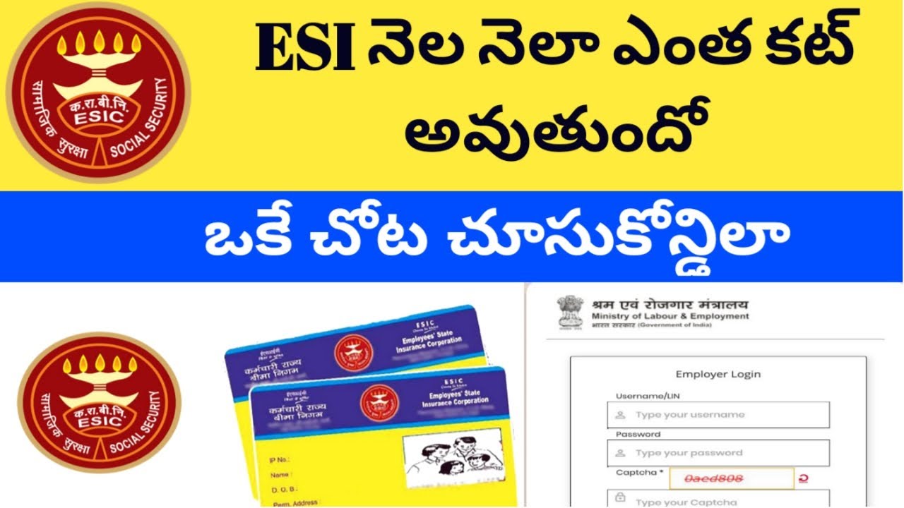 HOW TO KNOW MONTHLY ESI CONTRIBUTION || ESI MONTHLY CONTRIBUTION  HISTORY || ESIC 2024 ||