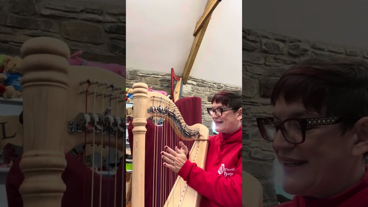 Leprechaun 29 Lever Harp by Harfenland 