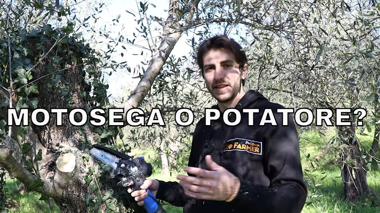Prova potatore Vesco x100