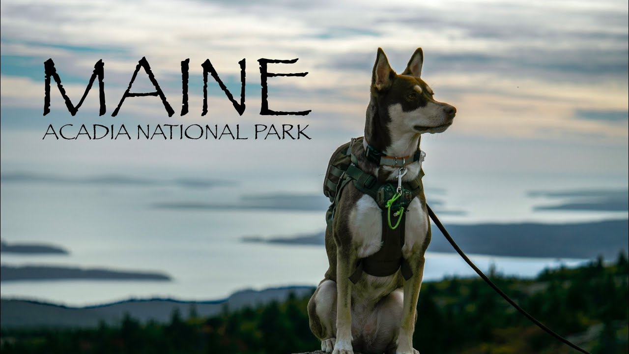 Exploring Acadia National Park | Camping in Maine | Cadillac Mountain & Jordan Pond House
