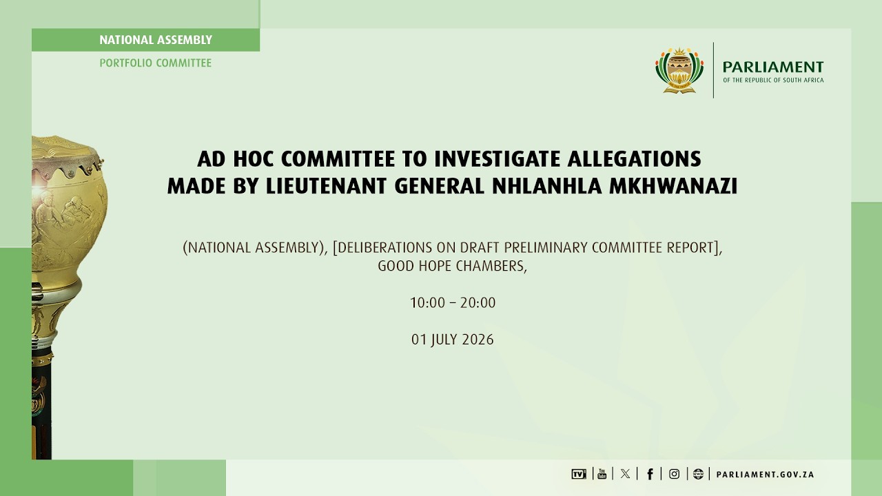 Ad Hoc Committee to Investigate Allegations made by Lieutenant General Mkhwanazi, 1 July 2026