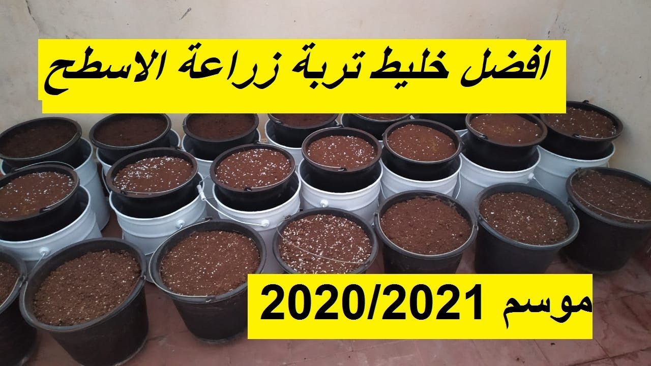 افضل وارخص خليط تربة زراعة الاسطح