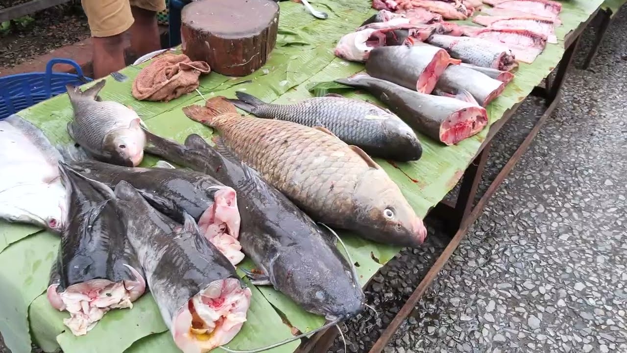 【4K】LAOS LUANG PRABANG 라오스 루앙프라방 - 모닝마켓 MORNING MARKET