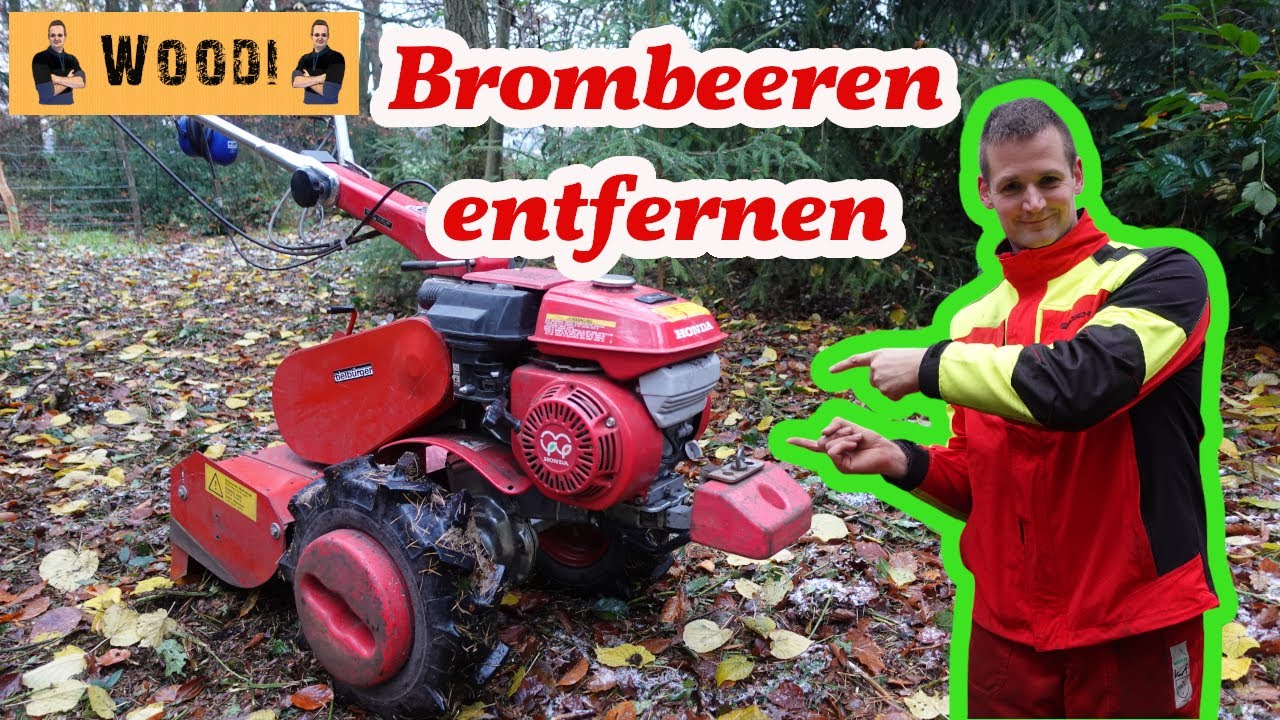 Brombeeren dauerhaft entfernen mit dem Einachser - Geht das? Wald aufforsten