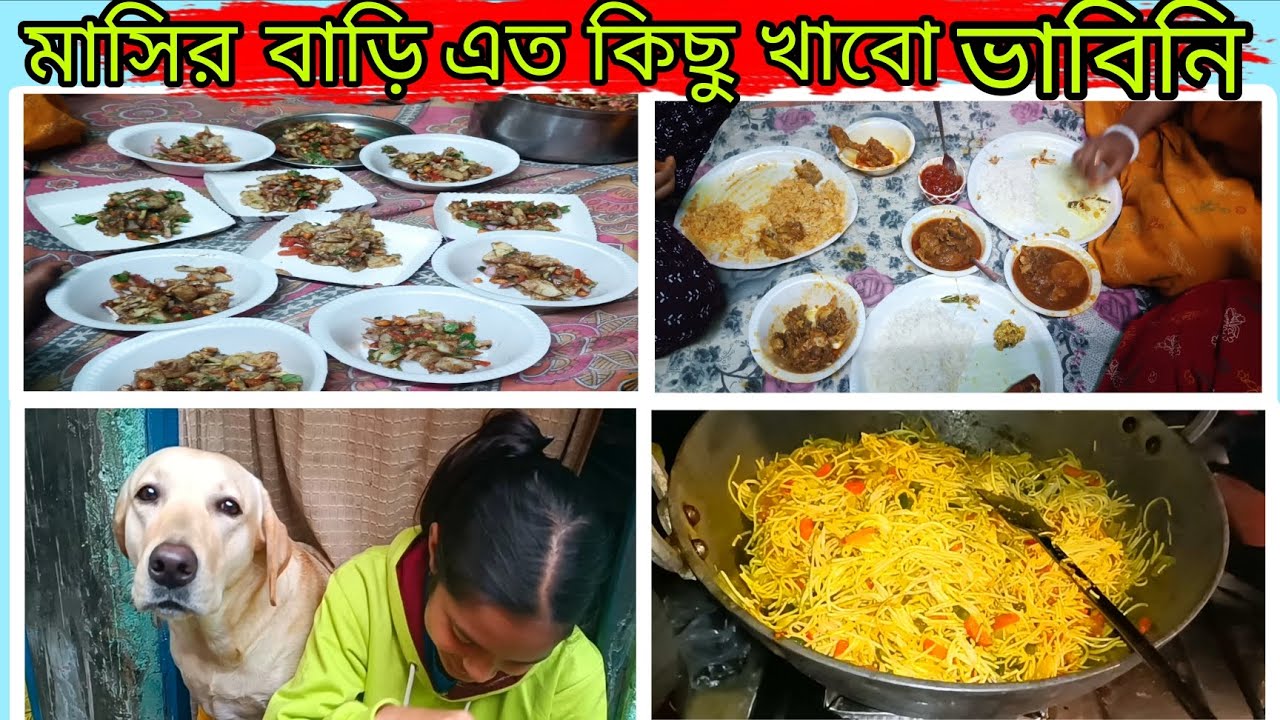 অনেক দিন পর মাসির বাড়ি গেলাম এতো মজা, এতো খাওয়া দাওয়া হবে😱 ভাবতে পারিনি 😊
