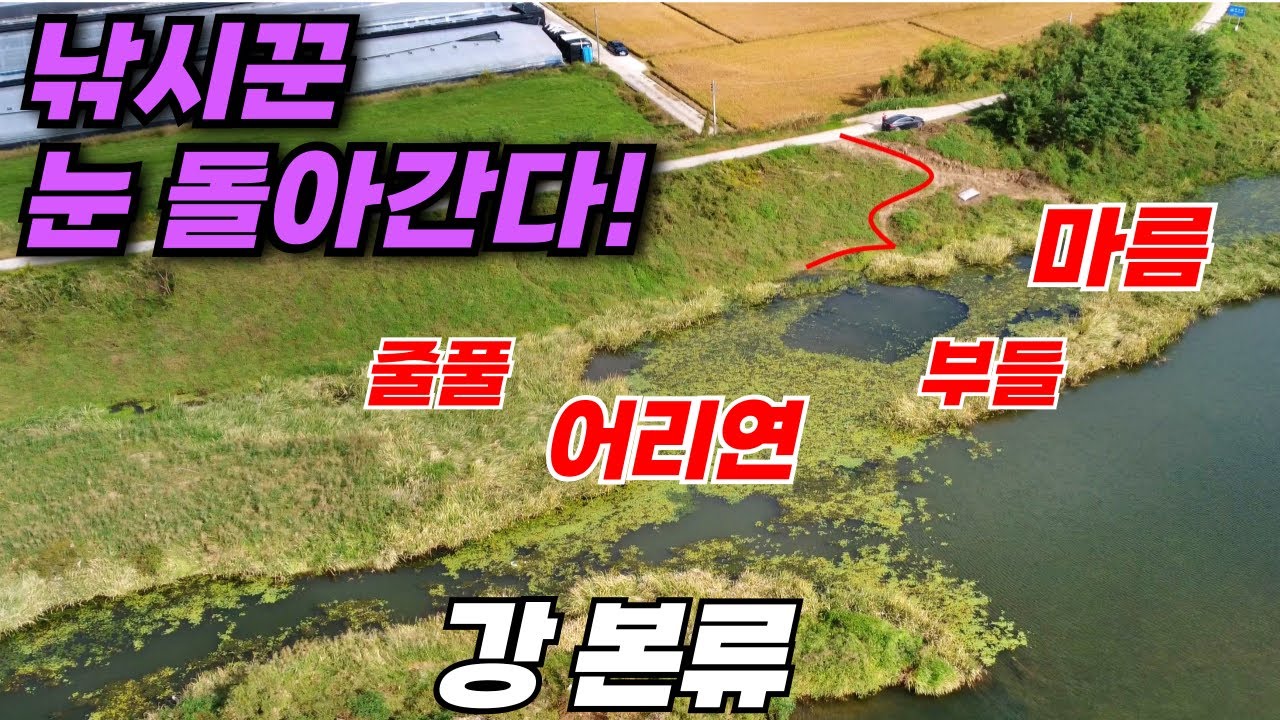 유속을 피하는 강계 홈통! / 수초까지 완벽한 붕어낚시 명당 포인트 / 진주 영천강 붕어낚시